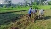 जैविक खेती को बढ़ावा देने के लिए छत्तीसगढ़ में खुला बीज बैंक