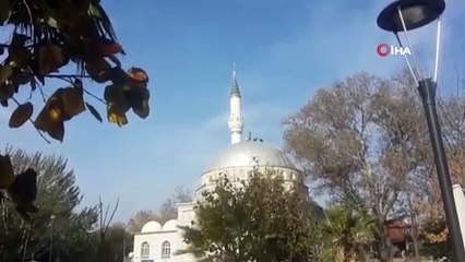 15 yıllık leylek yuvasını yıktılar