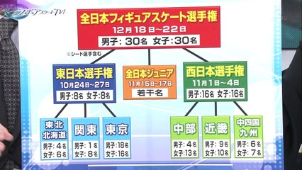 全日本フィギュアへの道 （ブロック大会）・全日本NV
