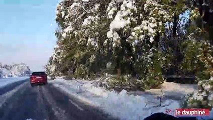 Drôme : des centaines d’arbres tombés au bord des routes