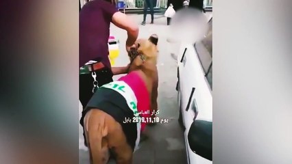 Irak'taki protestolarda polis, köpekle müdahale edince eylemciler aslan getirdi
