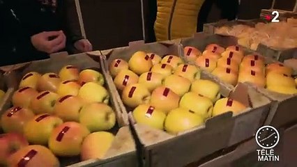Le marché de Rungis investit le Grand Palais à Paris pour ses 50 ans