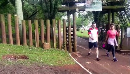 'Aparecimento de onça': Lago Municipal está aberto, mas equipes mantêm vistoria