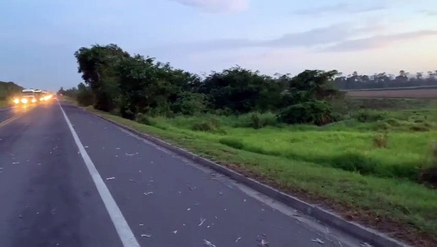 Motorista de caminhão morre após colisão com carreta na BR 101
