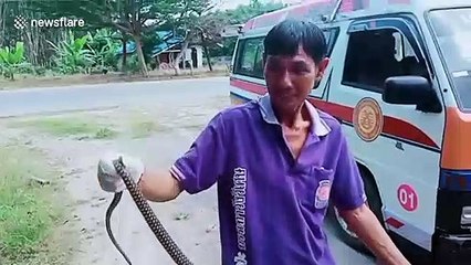 King cobra caught after rampaging through beauty salon in Thailand
