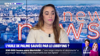 L'huile de palme sauvée par le lobbying ? - 15/11