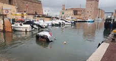 Marseille : en suivant leur GPS à la lettre, ils finissent leur trajet dans les... eaux du Vieux-Port