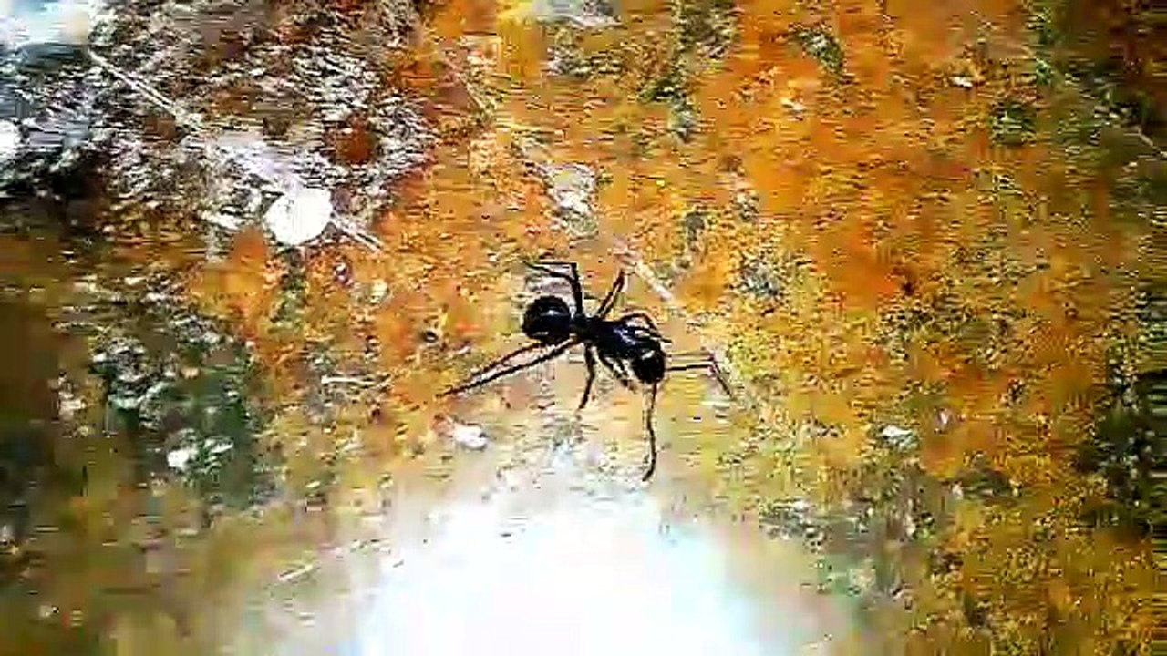 अपने Friend को ढूंढ रहा है !                       - gondia - गोंदिया ( 360 X 640 )