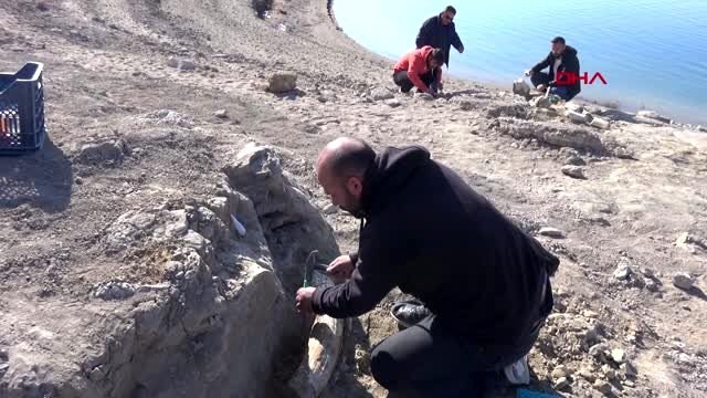 Kayseri'de 7,5 milyon yıllık yeni fosil bulundu