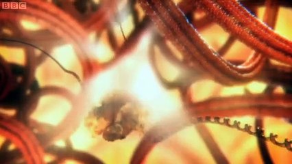 Our Secret Universe The Hidden Life of the Cell