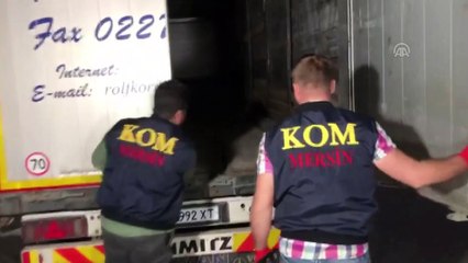 75 bin paket kaçak sigara ele geçirildi - MERSİN