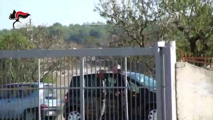 Puglia: oltre 50 arresti nella massiccia operazione dei Carabinieri nei confronti del clan "D'Abramo-Sforza" di Altamura