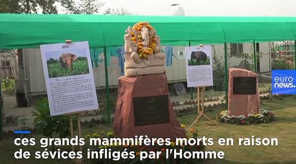 Inde : premier mémorial dédié aux éléphants victimes des hommes