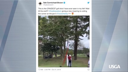 The Rules of Golf: Bubba Watson Did WHAT in Japan?!