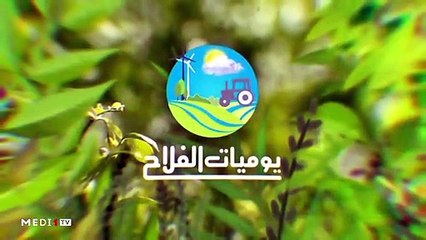 يوميات الفلاح - 15/11/2019