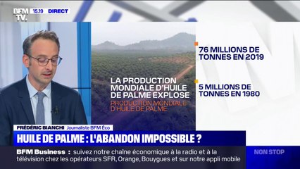 Pourquoi la France a du mal à se passer de l'huile de palme?