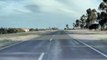 L'autopilot Tesla évite des canards qui traversent la route