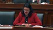 Tlaib Facing Extended Ethics Panel Probe Over Campaign Fund Use