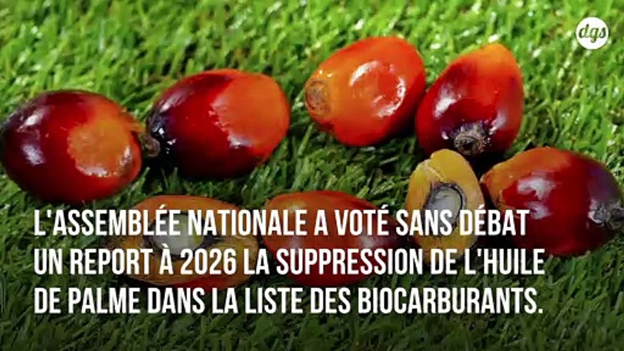 Les lobbies au pouvoir  : nos députés votent le maintien de l'huile de palme parmi les biocarburants