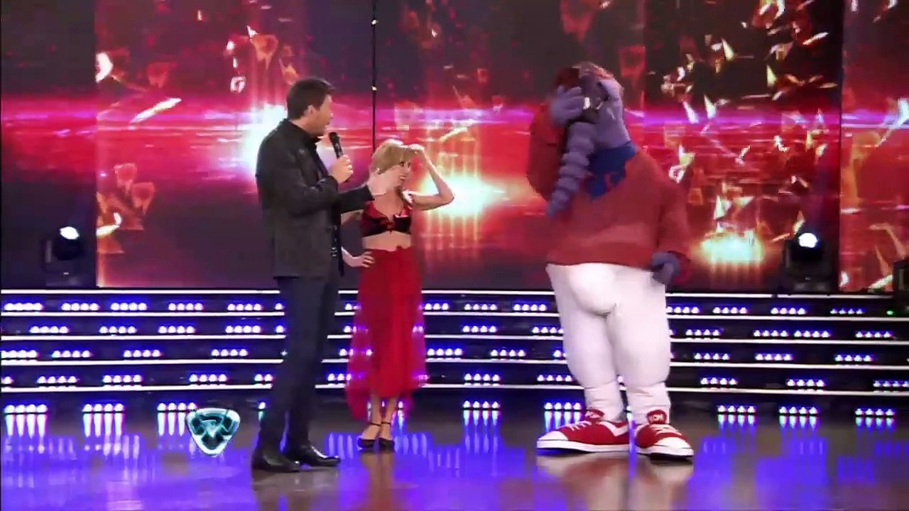 ¡El Oso Arturo, el mejor dotado de Ideas del Sur!