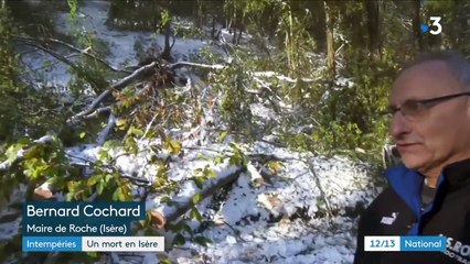 Intempéries : un mort en Isère écrasé par un arbre
