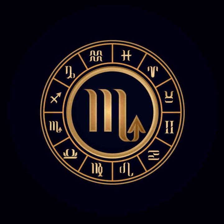 5 Vorzüge von Skorpionen