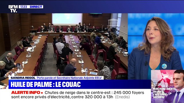 Huile de palme: le couac - 15/11