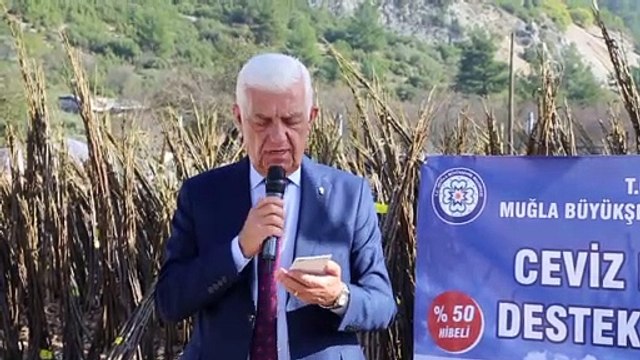 Çiftçilere ceviz fidanı dağıtıldı - MUĞLA