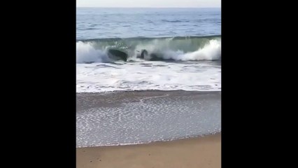 Surfer Tries To Ride A Wave  And Fails