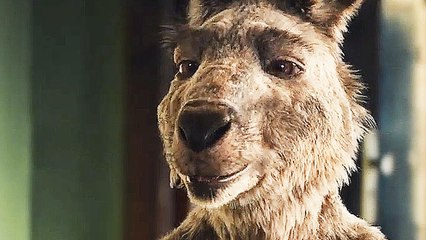 Die Känguru Chroniken - Teaser (Deutsch) HD
