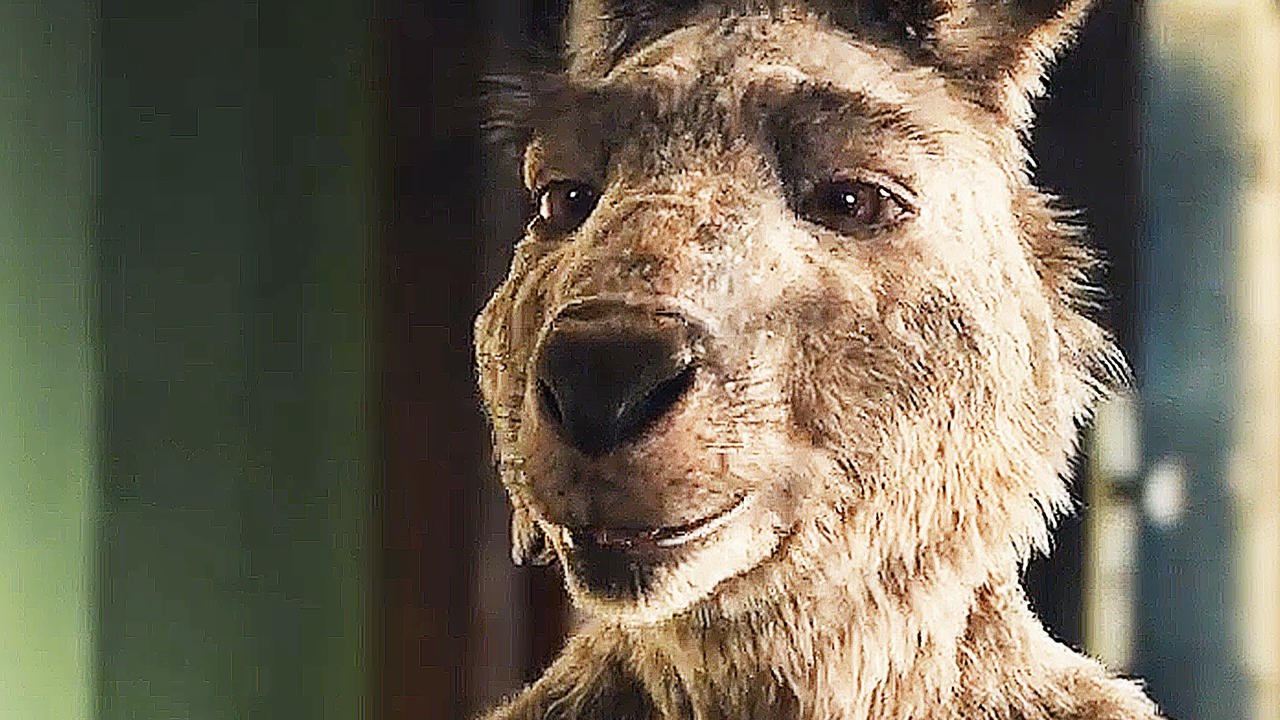 Die Känguru Chroniken - Teaser (Deutsch) HD