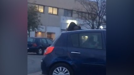 Pédophile présumé dans le Val-de-Marne : l'un des sauveurs de la fillette témoigne
