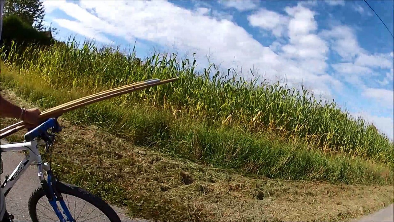 Partie de pêche
