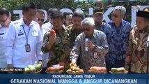 Mentan Canangkan Gerakan Nasional Pengembangan Mangga dan Anggur