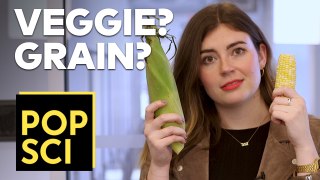 Is Corn a Fruit, Vegetable, or Grain?