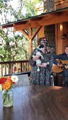 Good Boy Gilbert Sings Along to Tune