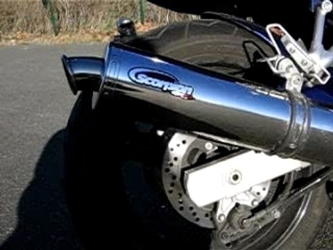 600 bandit et pot scorpion