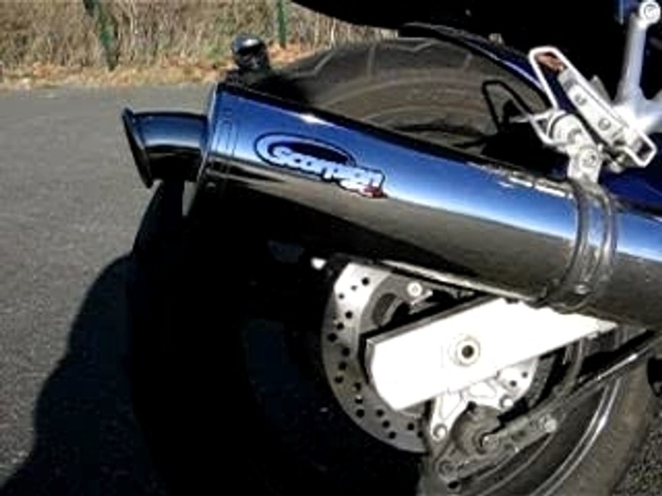 600 bandit et pot scorpion