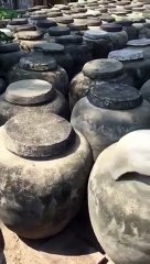 Mắm Ruốc Huế - Phá Tam Giang