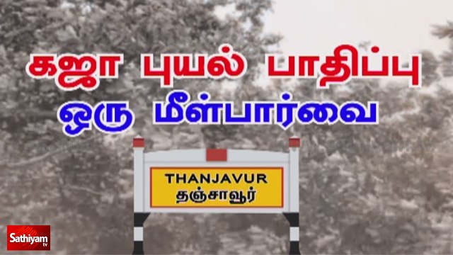 கஜா புயல் பாதிப்பு ஒரு மீள்பார்வை - தஞ்சாவூர் | Gaja Storm | A Year After Cyclone Gaja | Thanjavur