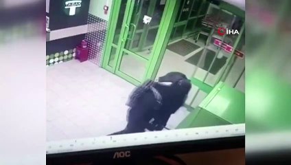 - Rusya'da Hırsızlar Atm'yi Bombayla Havaya Uçurdu