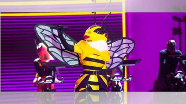 Mask Singer : découvrez le prix fou des costumes !