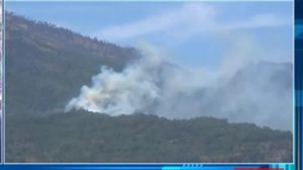 Pemadaman Kebakaran Hutan di Gunung Lawu Terkendala Medan yang Sulit