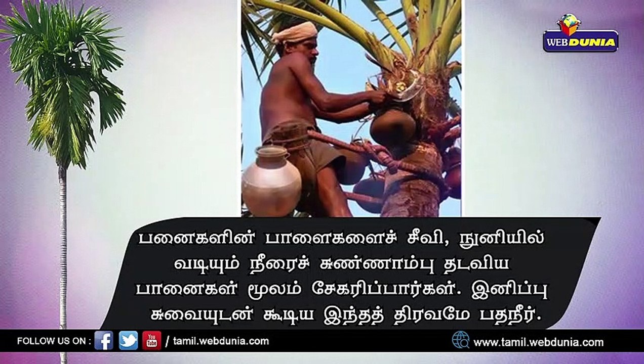 நோய்கள் வராமல் தடுக்கும் பதநீர்!!