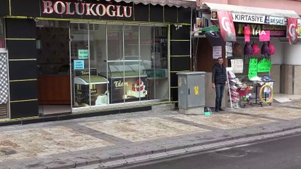 Alman kurdunun kaptığı kediyi ağzından 5 kişi güçlükle kurtardı...O anlar kamerada