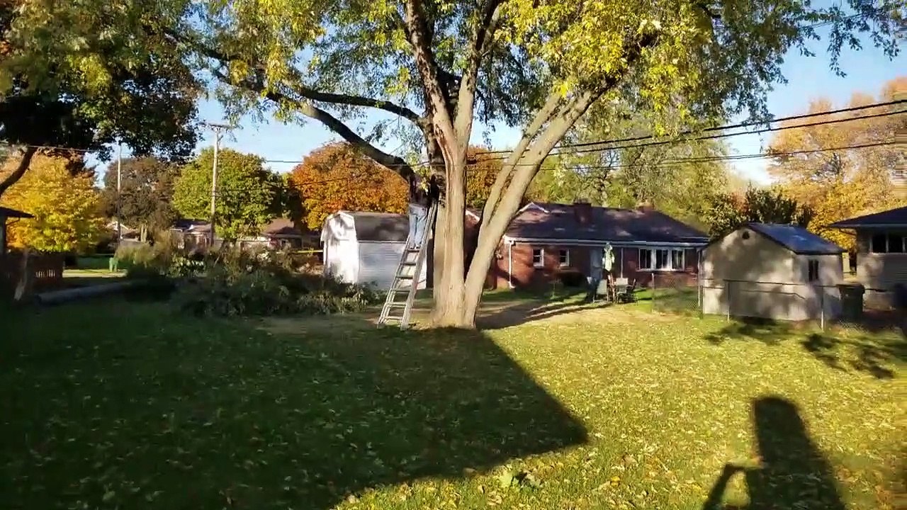 Download Video: Un gros fail pendant la découpe d'une branche d'arbre