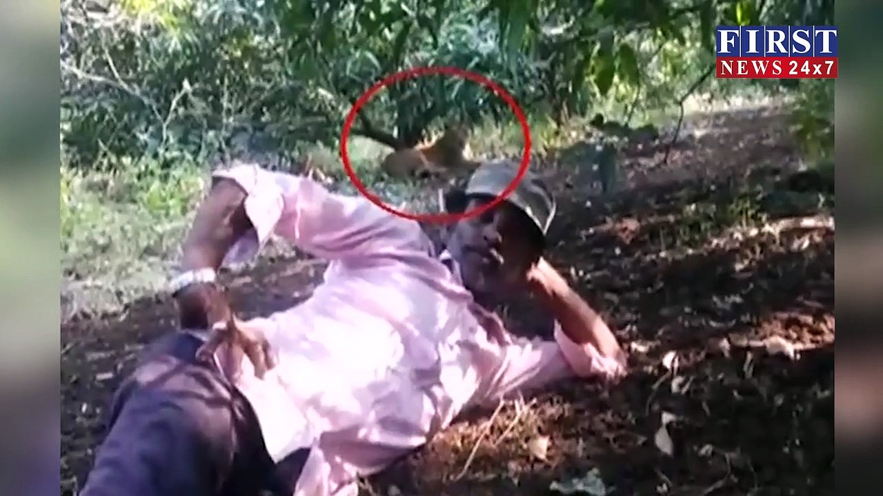 शेर के साथ वीडियो बनवाने के लिए जान पर खेला शख्स, शूट किया 1.15 सेकेंड का VIDEO