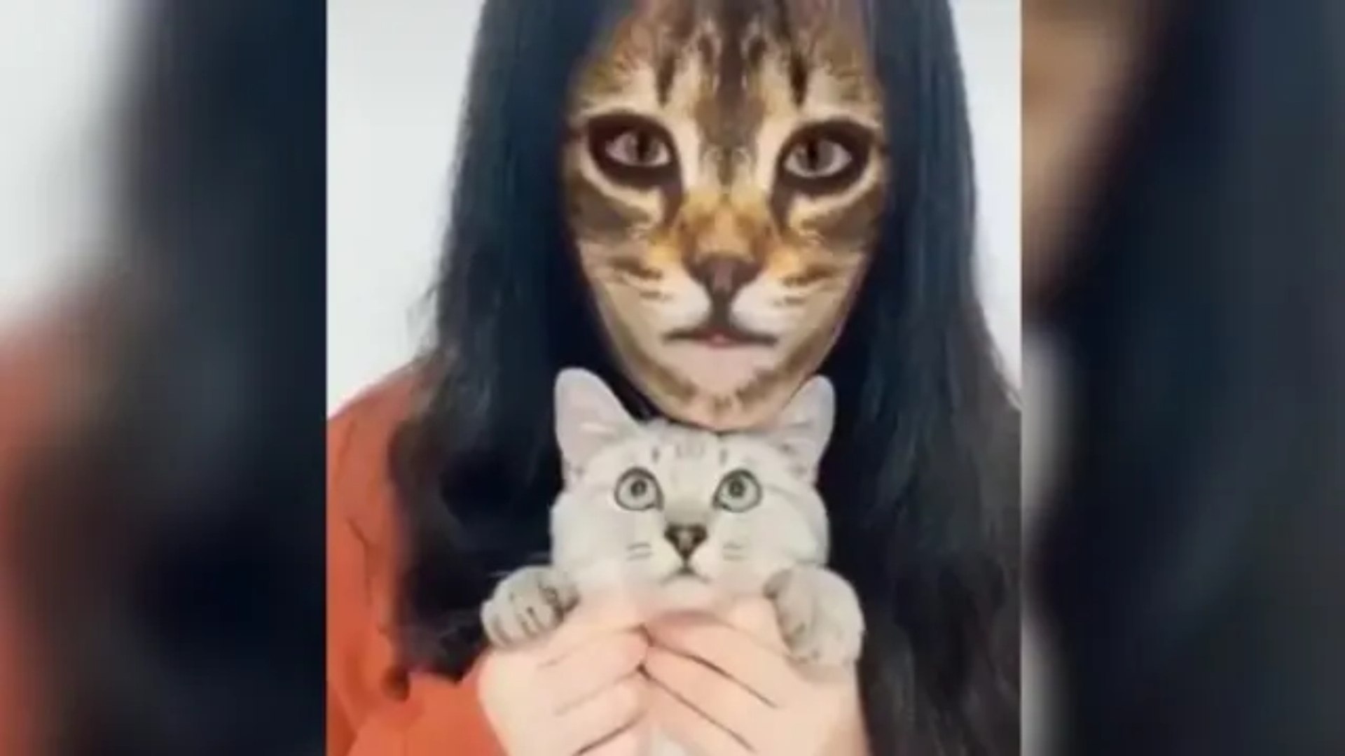Vídeo viral: Esta es la cara que se le queda a tu gato cuando te  'enmascaras' con un filtro felino - Vídeo Dailymotion