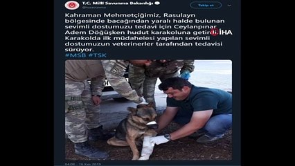 'Türk Ordusu' her canlının yarasını sarıyor
