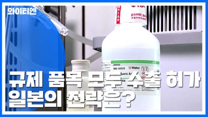 日, 규제 품목 모두 수출 허가..."WTO 고려한 전략" / YTN